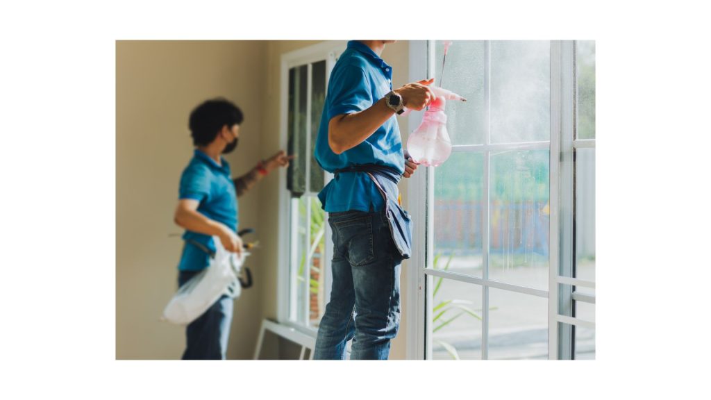 Business Window Tint