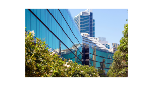 Safety Window Film